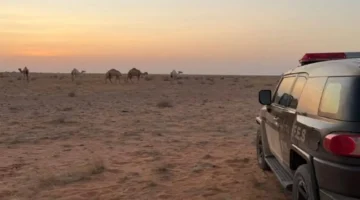 ضبط مواطن يمارس الرعي المخالف داخل محمية الإمام عبدالعزيز بن محمد الملكية